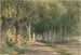 Allée d'arbres - George Henry Smillie — artwork view
