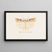 Entomologie aquarelle Pl095 - George Hudson — ingelijst kunstwerk aan de muur