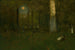 Picnic in the Woods Montclair New Jersey - George Inness — artwork view