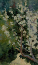 Capri - George Randolph Barse — weergave van het kunstwerk