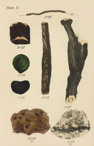 George Sampson Valentine Wills - A Manual of Vegetable Materia Medica Pl02.webp