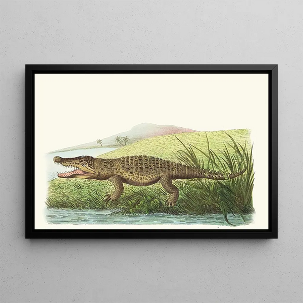 George Shaw - St Domingo Crocodile.webp