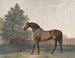 Enclume - George Stubbs — weergave van het kunstwerk
