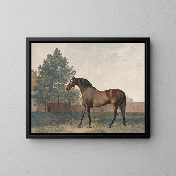 Enclume - George Stubbs — ingelijst kunstwerk aan de muur