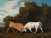 Gevecht met stieren - George Stubbs — weergave van het kunstwerk