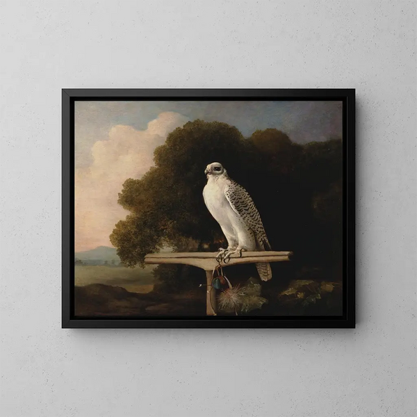 Faucon du Groenland - George Stubbs — ingelijst kunstwerk aan de muur