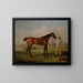 Molly Longlegs met haar jockey - George Stubbs — ingelijst kunstwerk aan de muur