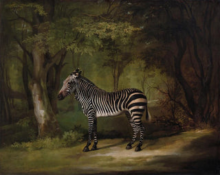 George Stubbs - Zebra.webp