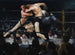 Hert bij Sharkey's - George Wesley Bellows — weergave van het kunstwerk