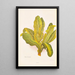 Meryta sinclairii - Georgina Burne Hetley — framed artwork on a wall