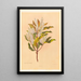 Quintinia serrata - Georgina Burne Hetley — framed artwork on a wall