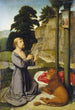 Saint Jerome in the Desert - Gerard David — artwork view