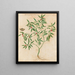 Planten diverses Pl38 - Giovanna Garzoni — ingelijst kunstwerk aan de muur