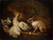 Een kip, een duif en een konijn - Giovanni Agostino Cassana — weergave van het kunstwerk
