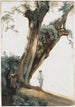 Trees in the Roman countryside - Giovanni Costa — artwork view