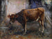 Koe - Giuseppe Pennasilico — weergave van het kunstwerk