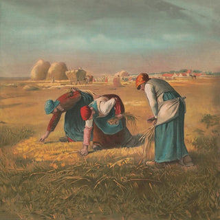 Glaneurs - Campbell Metzger Jacobson