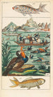 Histoire naturelle 27 volumes - Gottlieb Tobias Wilhelm — weergave van het kunstwerk