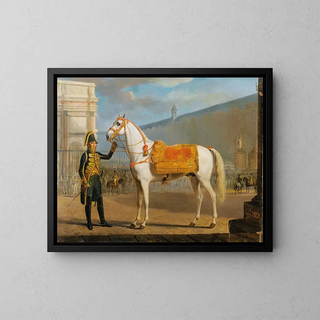 Gottlob Alexander Sauerweid - Sara Napoleons Horse.webp
