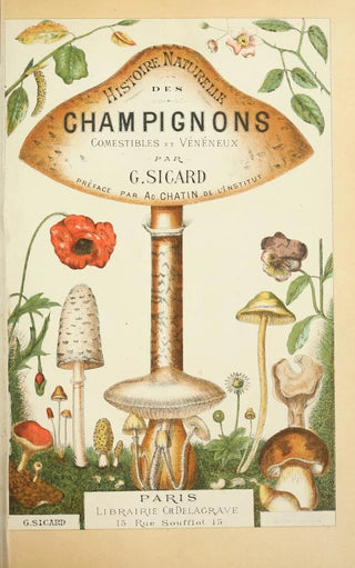 Guillaume Sicard - Histoire naturelle des champignons Pl01.webp