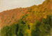 Herfstbos in het Brental - Gustav Kampmann — weergave van het kunstwerk