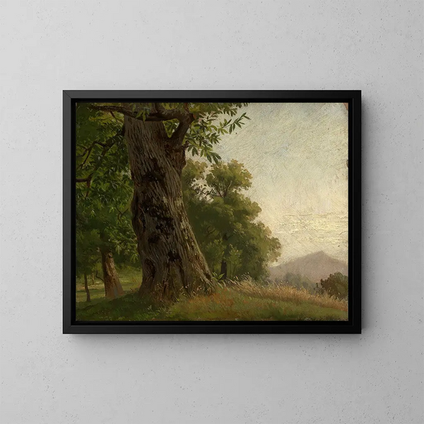 Studie van een boom - Gustav Osterroht — ingelijst kunstwerk aan de muur