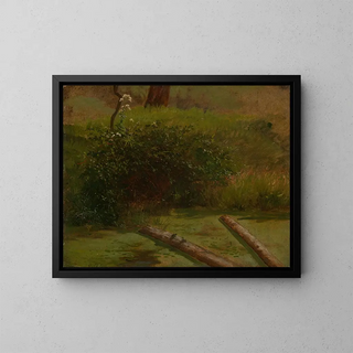 Gustav Osterroht - Blhender Schierling.webp