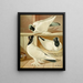 C. gyratrix coloriceps - Gustav Prütz — framed artwork on a wall