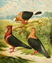 C. Illyrien - Gustav Prütz — artwork view