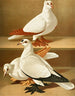 Rameur - Gustav Prütz — artwork view
