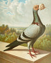 Peach painting - Gustav Prütz — artwork view
