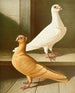 Turkish Painting - Gustav Prütz — artwork view