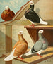 Baldheads English - Gustav Prütz — artwork view