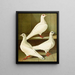 Culbuteur à pieds lisses, à front plat et à long bec - Gustav Prütz — framed artwork on a wall