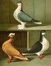 Indian Cups Painting - Gustav Prütz — artwork view