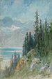 Vue sur le lac Léman près de Montreux - Gustave Doré — weergave van het kunstwerk