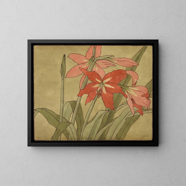 Amaryllis - Hannah Borger Overbeck — ingelijst kunstwerk aan de muur