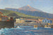 Uitzicht vanaf de zee op Pozo de Martianez Puerto Orotava Tenerife - Hans Bohrdt — weergave van het kunstwerk