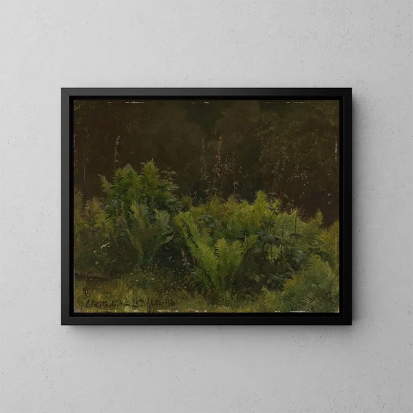 Studie van varens - Hans Gude — ingelijst kunstwerk aan de muur