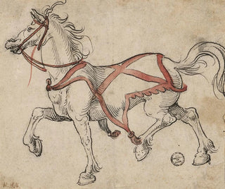 Hans Holbein The Younger - Trabendes Pferd.webp