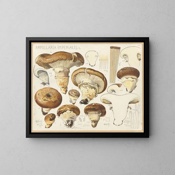 Armillaria impérialis - Hans Baldung — ingelijst kunstwerk aan de muur
