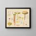 Boletus eriophorus - Hans Baldung — ingelijst kunstwerk aan de muur