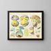Boletus macrocephalus - Hans Baldung — framed artwork on a wall