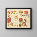 Boletus pierrhuguesii Boletus versicolor - Hans Baldung — framed artwork on a wall
