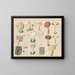 Boletus viscidus - Hans Baldung — framed artwork on a wall