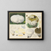 Calvatia caelata - Hans Baldung — framed artwork on a wall
