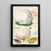 L: Calvatia maxima Schff Morgan Globaria bovista L - Hans Baldung — ingelijst kunstwerk aan de muur