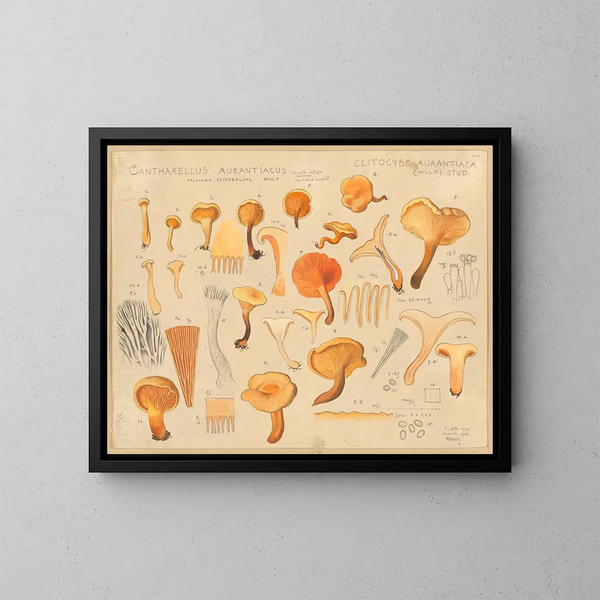 Chanterelle orangée - Hans Baldung — ingelijst kunstwerk aan de muur