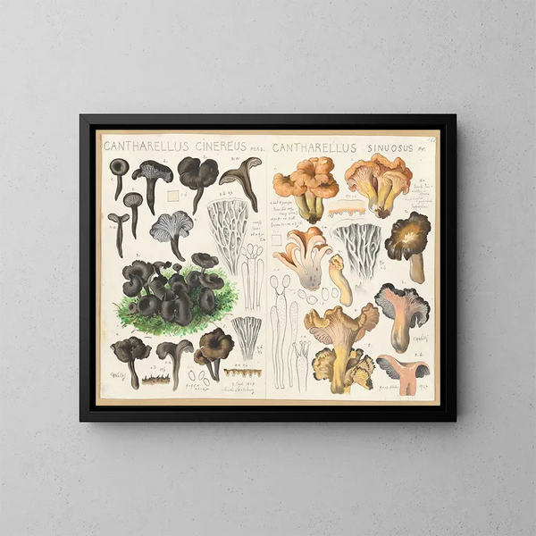 Chanterelle cendrée Chanterelle sinueuse - Hans Baldung — ingelijst kunstwerk aan de muur