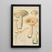 Clitocybe geotropa Bulliard - Hans Baldung — framed artwork on a wall